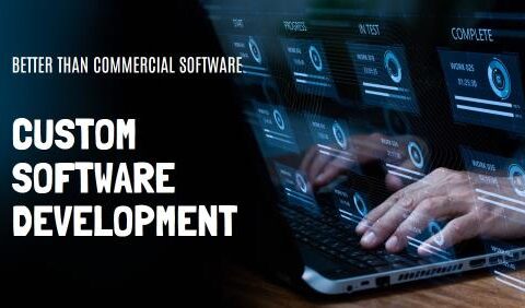 Custom Software Development what's best