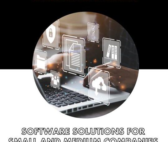 small and medium companies using software solutions